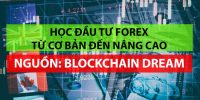 Học Forex từ căn bản đến nâng cao trên Blockchain Dream – Cẩm nang gối đầu giường cho người mới
