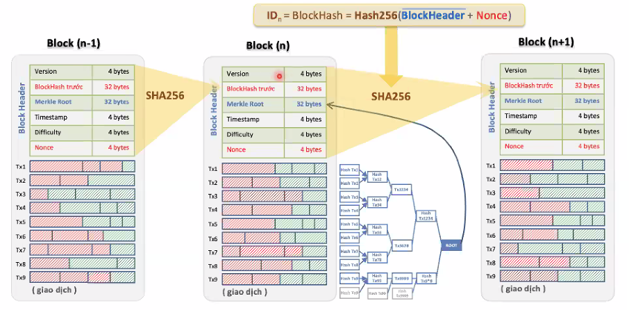 Cấu trúc Block và quy trình đào Bitcoin