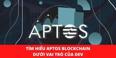 Tìm hiểu Aptos Blockchain dưới vai trò của DEV